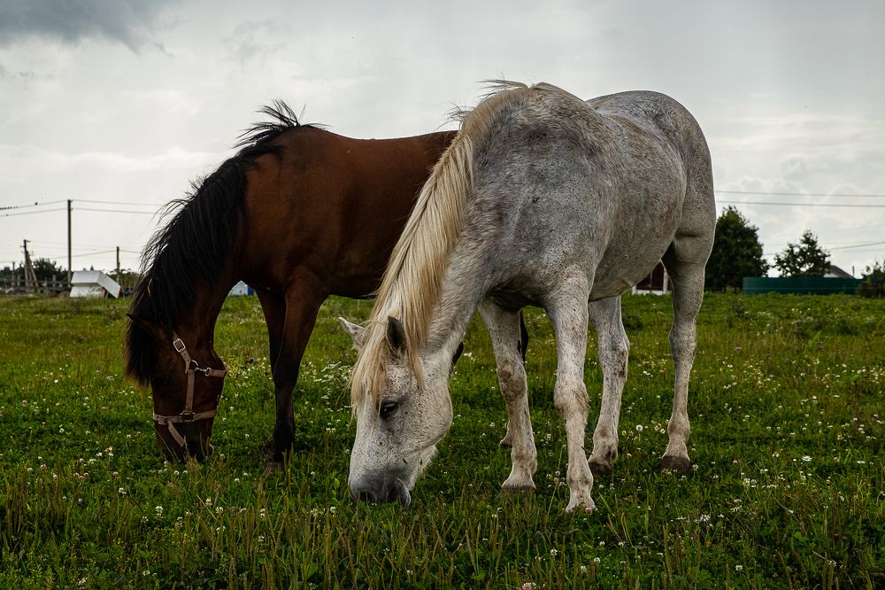 Photograph by Ирина Саломатина