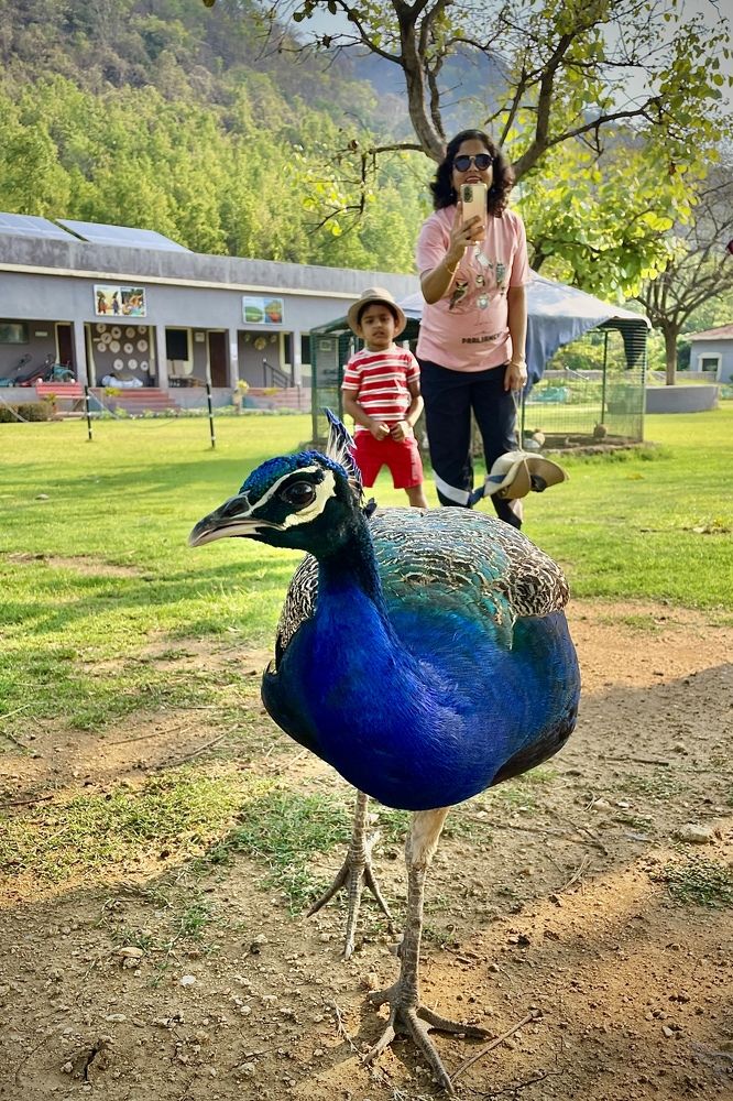 Фотография автора BIPLAB MISRA