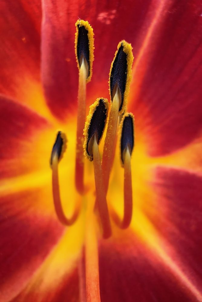 Photograph by Maiya Bulatova