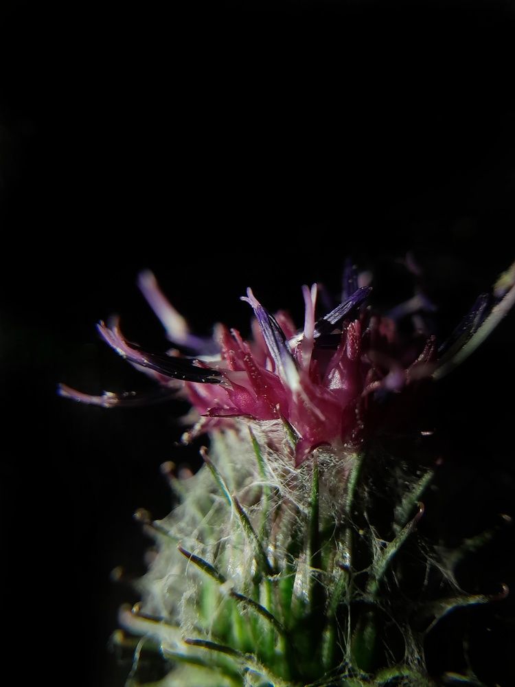 Photograph by Анастасия Дынина