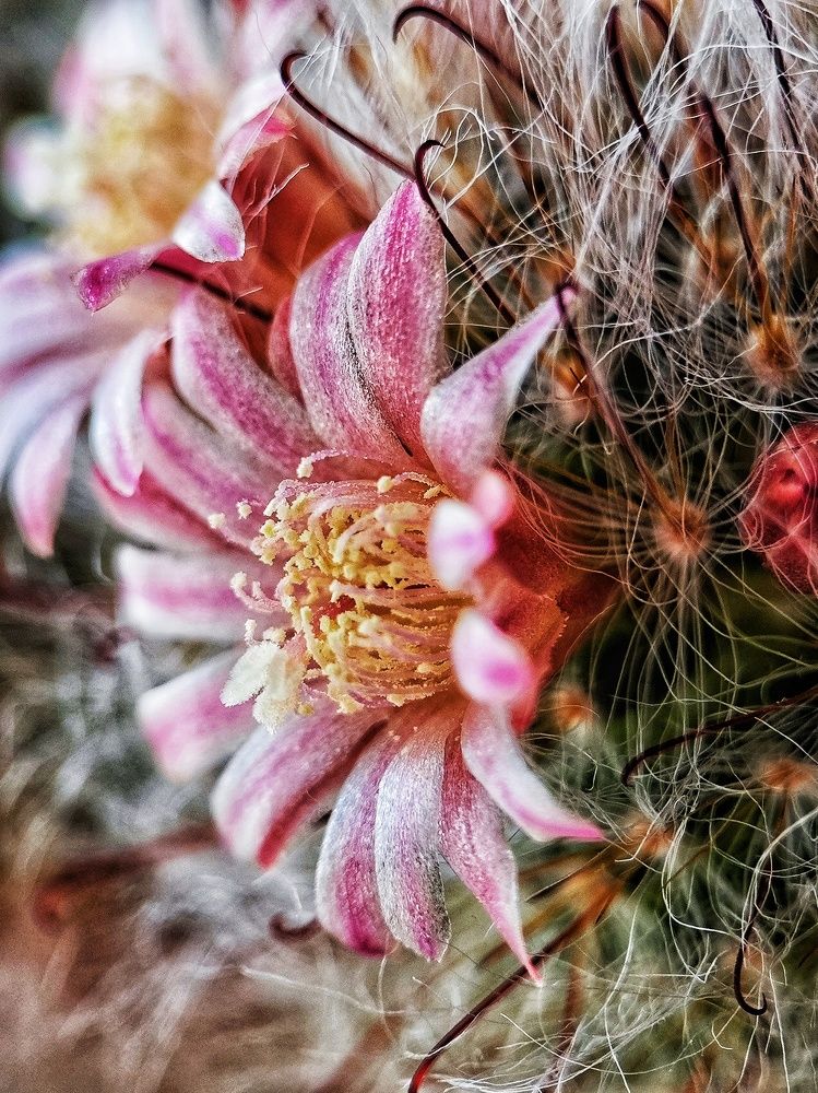 Photograph by Олеся Хижко