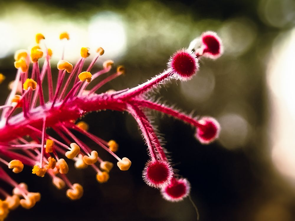 Photograph by Praveen