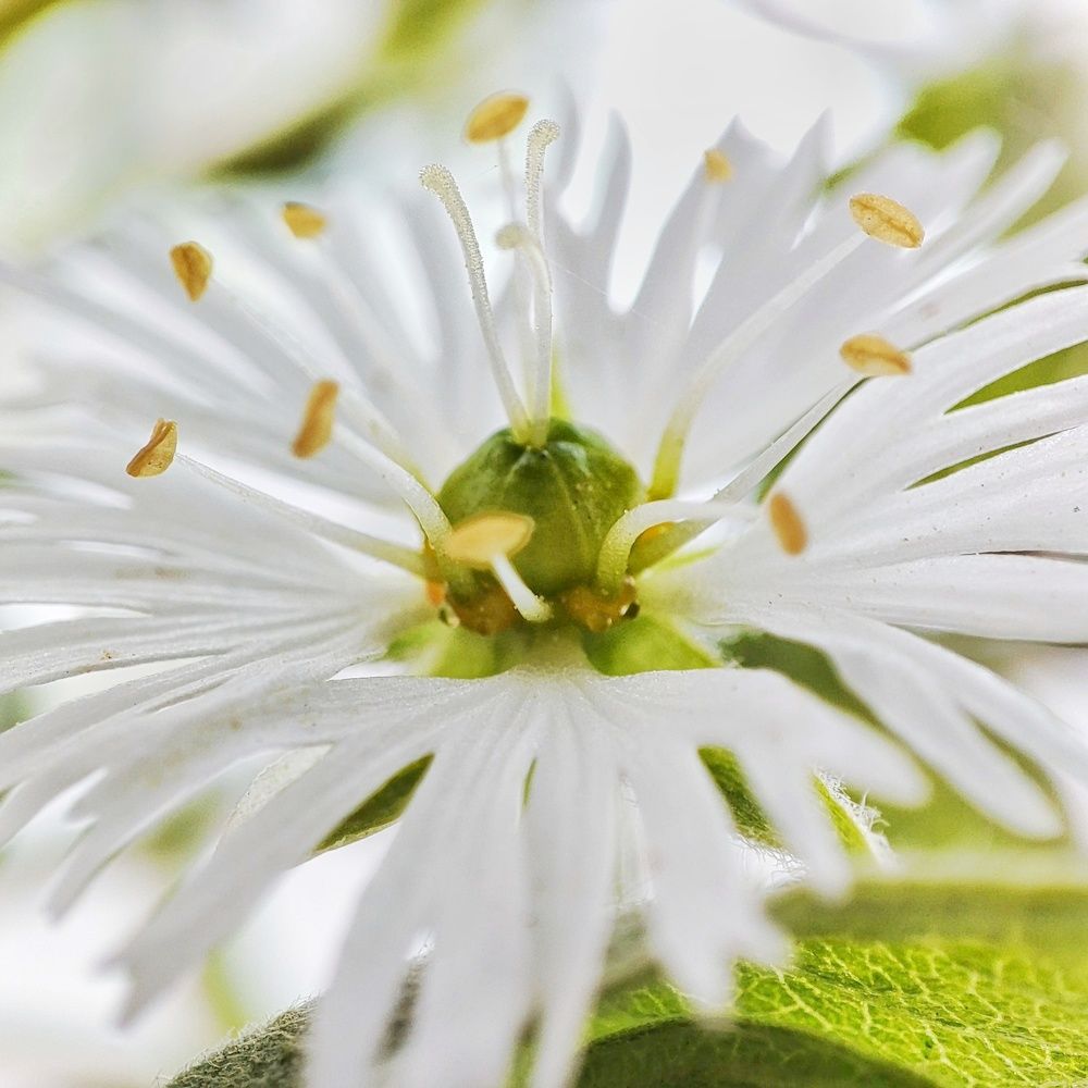 Photograph by Дина Желанова