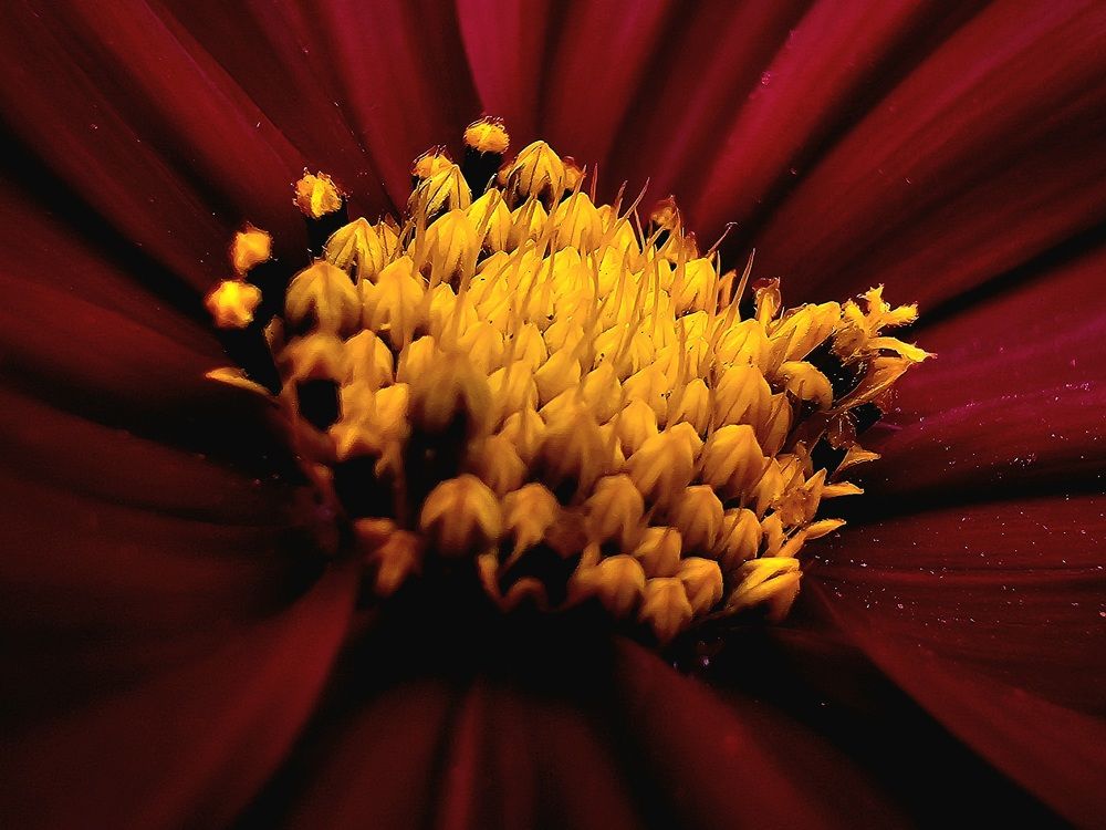 Photograph by Анна Семенова