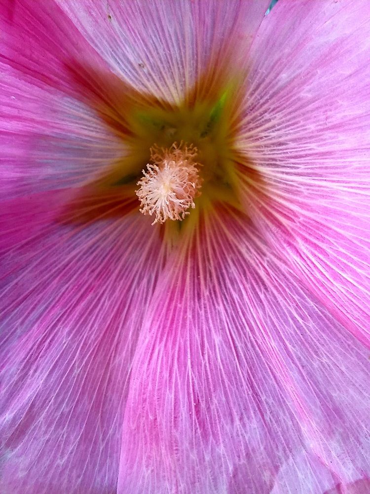 Photograph by Ольга Юрченко