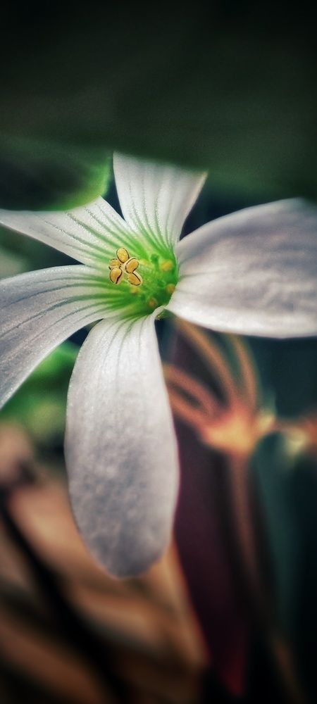 Photograph by Калюнова Наталья