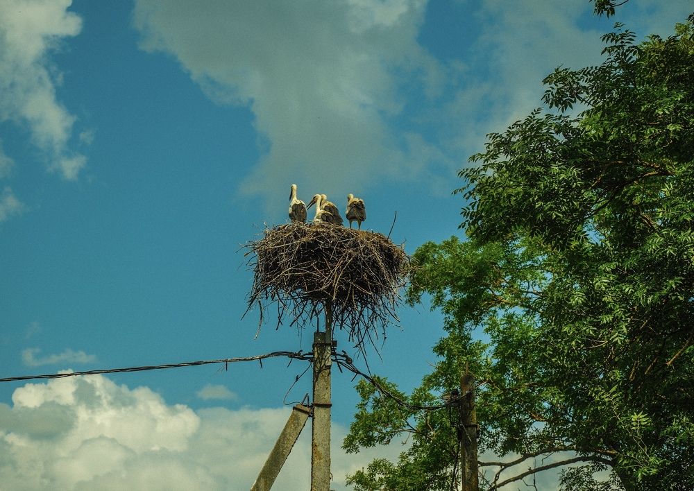 Photograph by Алексей Большаков