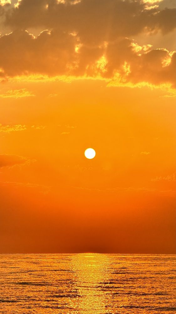 Photograph by Oksana Shchegolkova