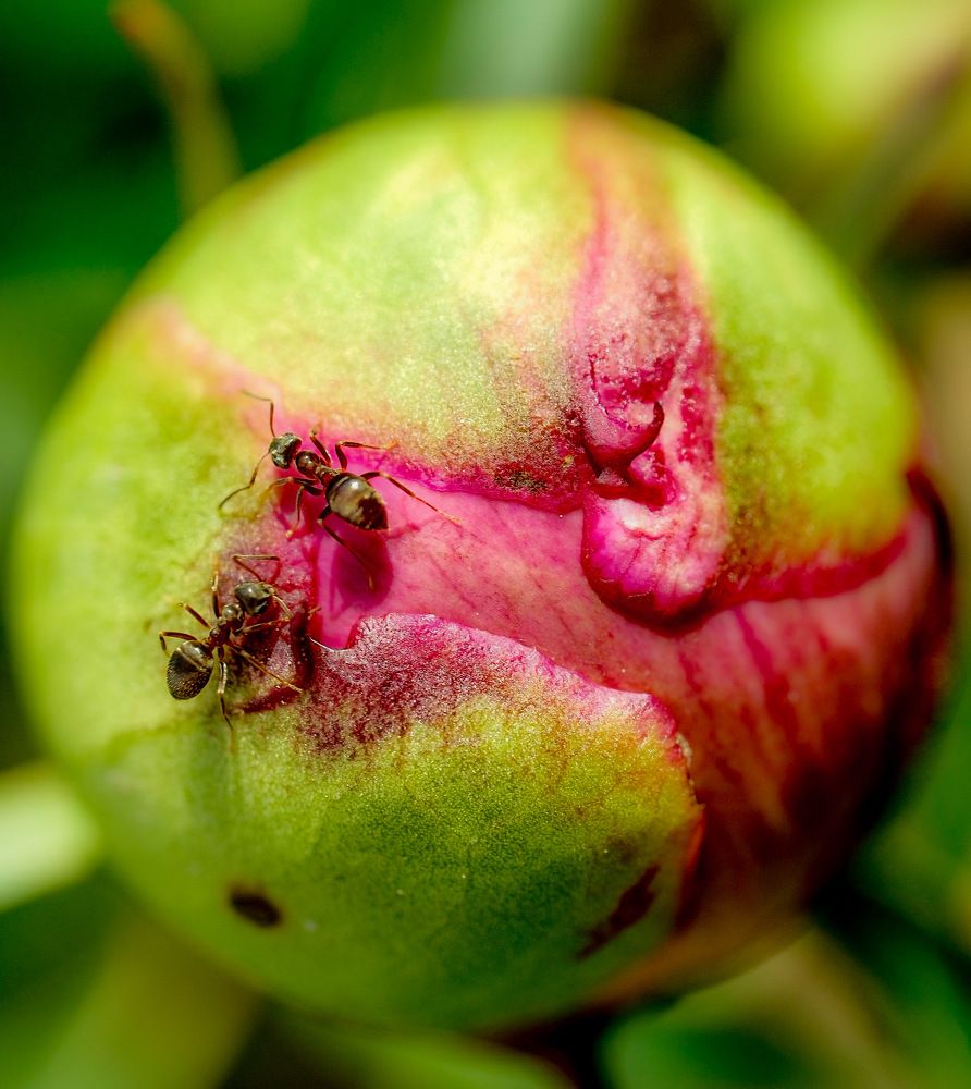 Photograph by Алексей Большаков