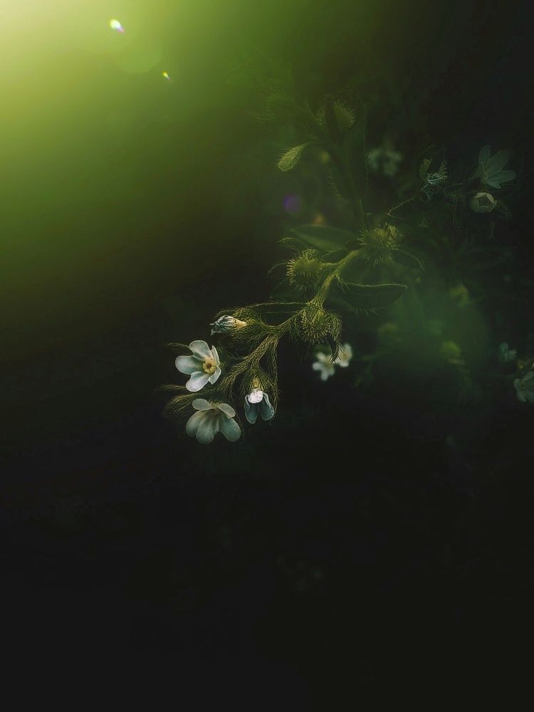 Photograph by Александра Королёва