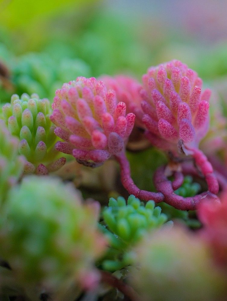 Photograph by Алексей Большаков