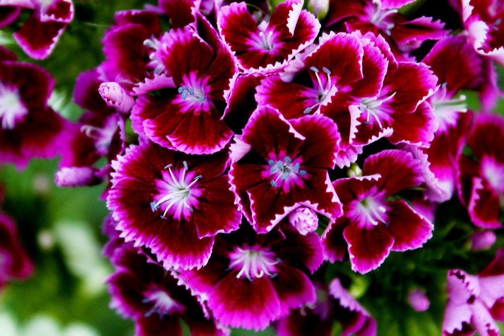 Photograph by Дмитрий Симагин