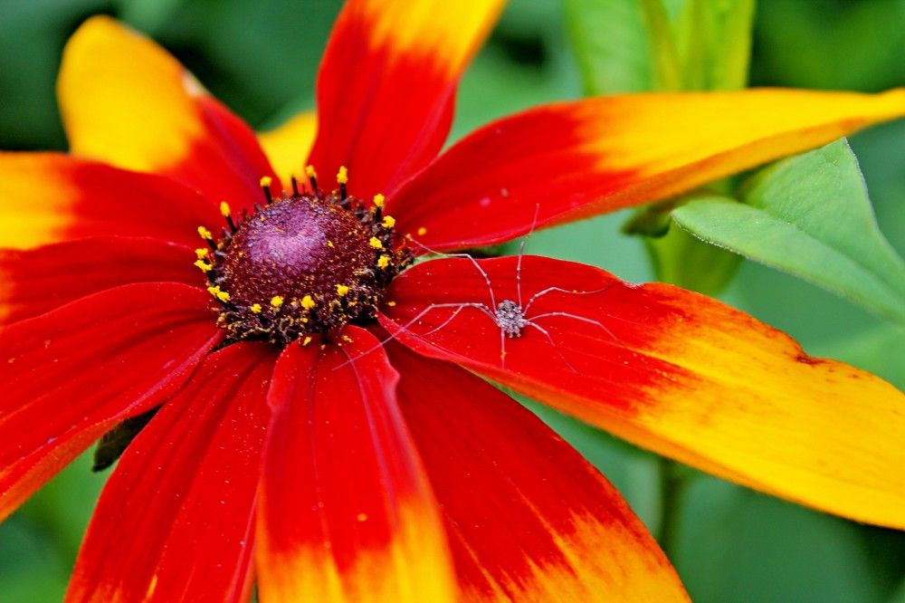 Photograph by Дмитрий Симагин