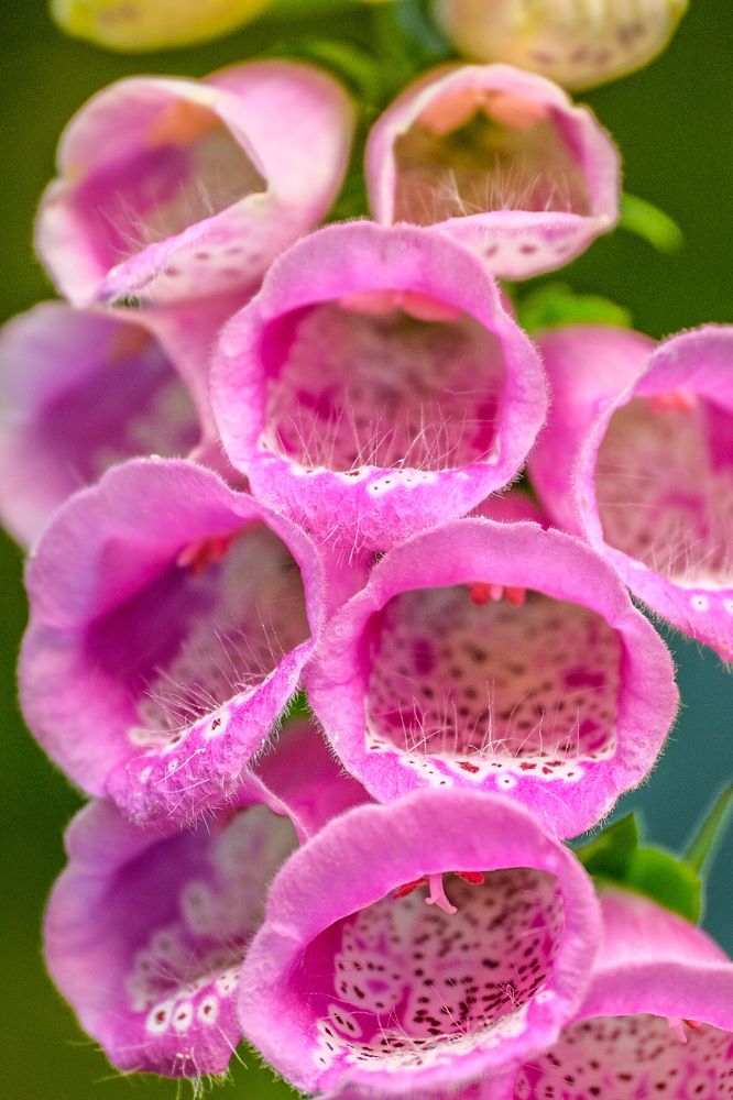 Photograph by Алексей Большаков