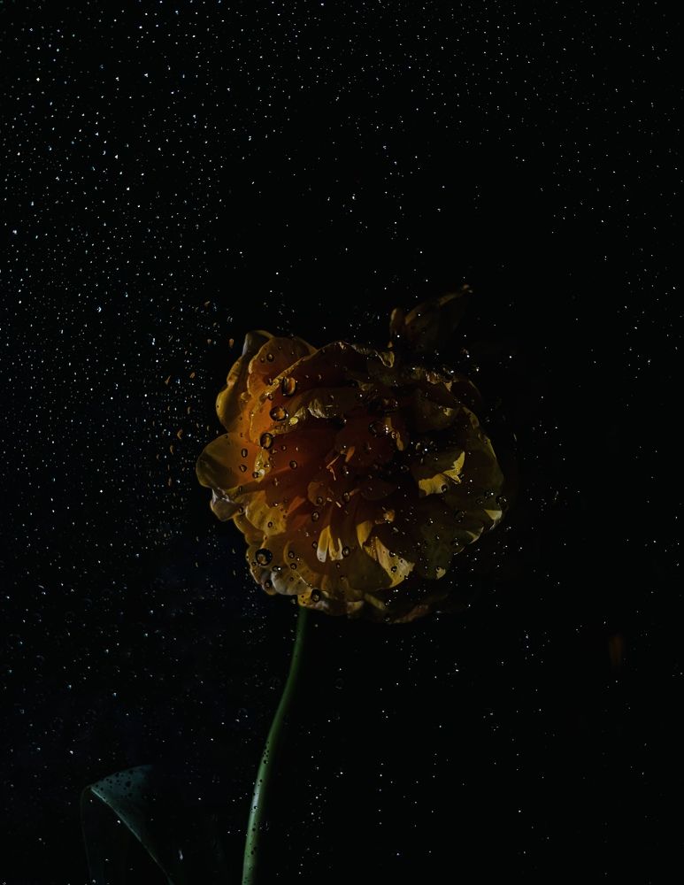 Photograph by Анастасия Германова