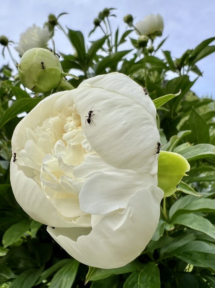 Photograph by Анастасия Германова