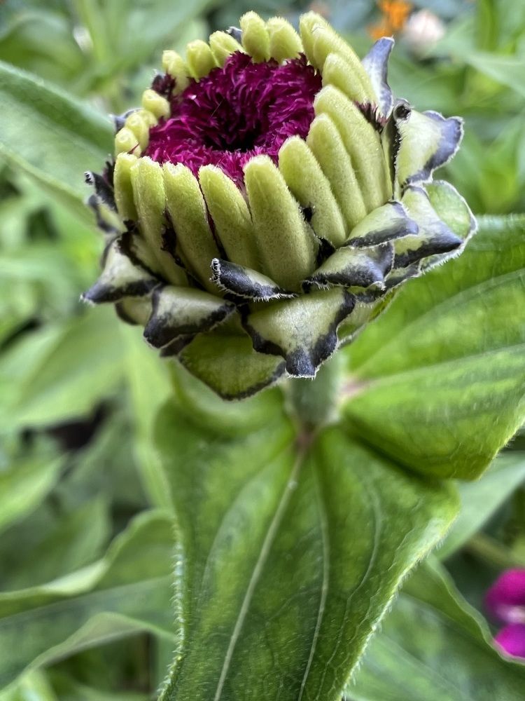 Photograph by Анастасия Германова