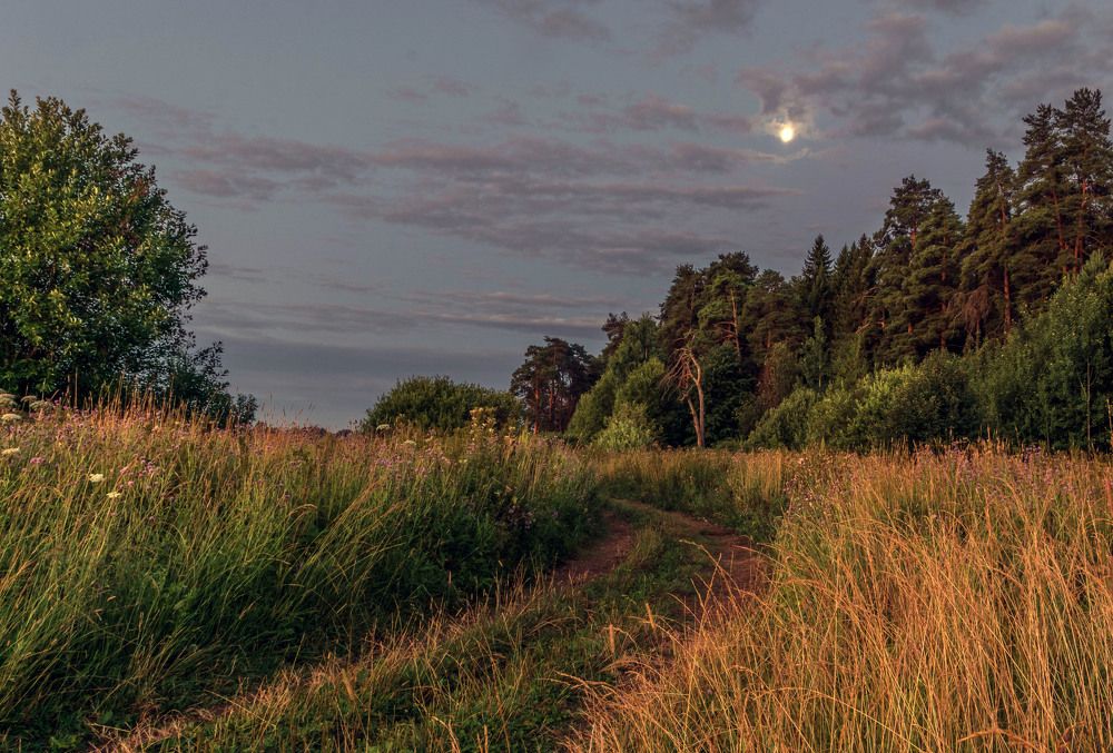 Предрассветное