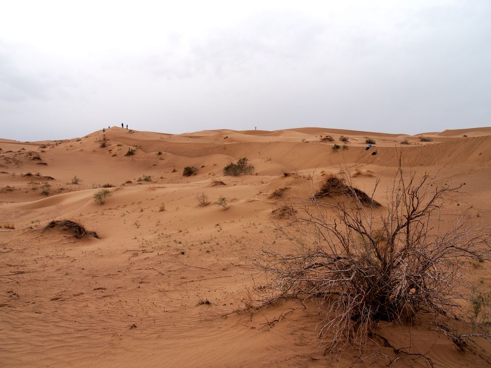 Photograph by Abdolreza Aleagha