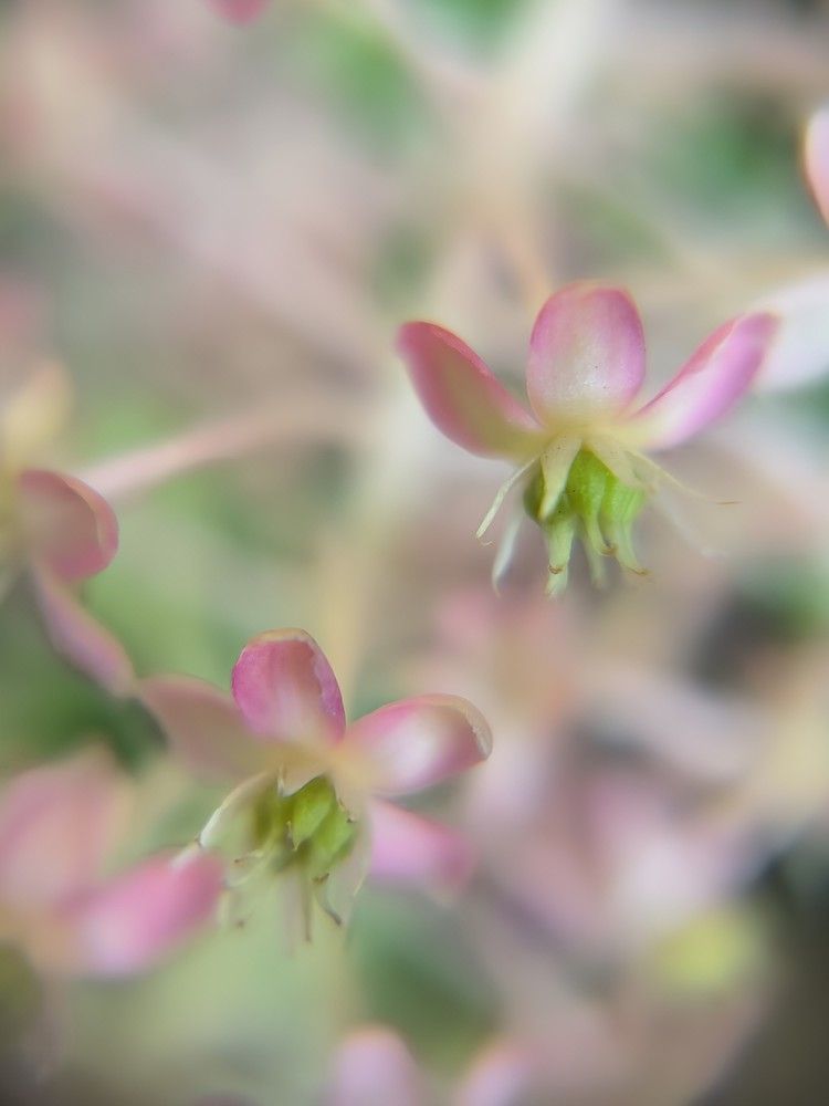 Photograph by Юлия Бурминская