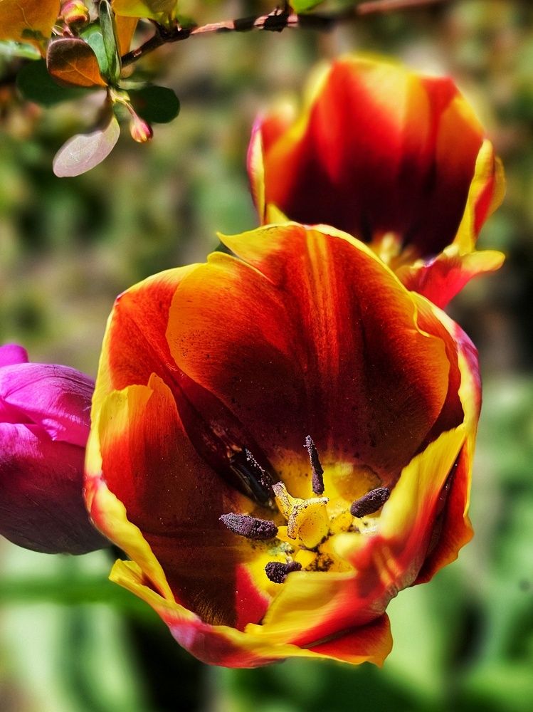 Photograph by Алексей Новиков