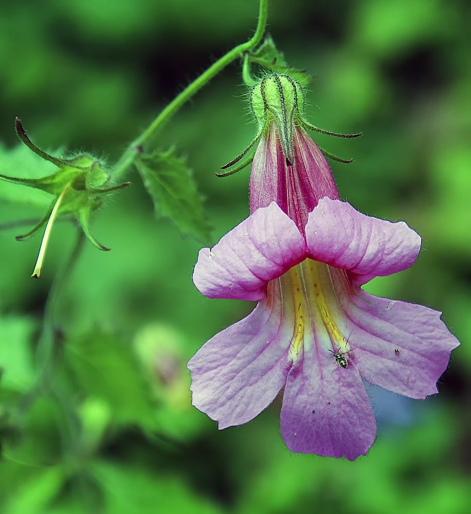 Фотография автора Александр