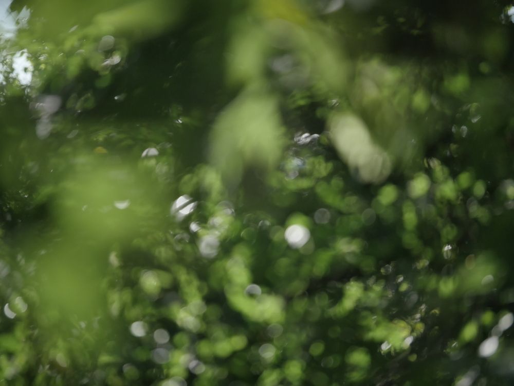 Photograph by ИуИлЪ