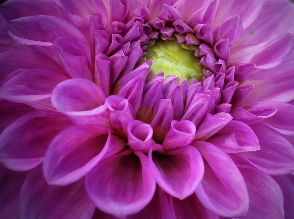 Photograph by Татьяна Сычёва