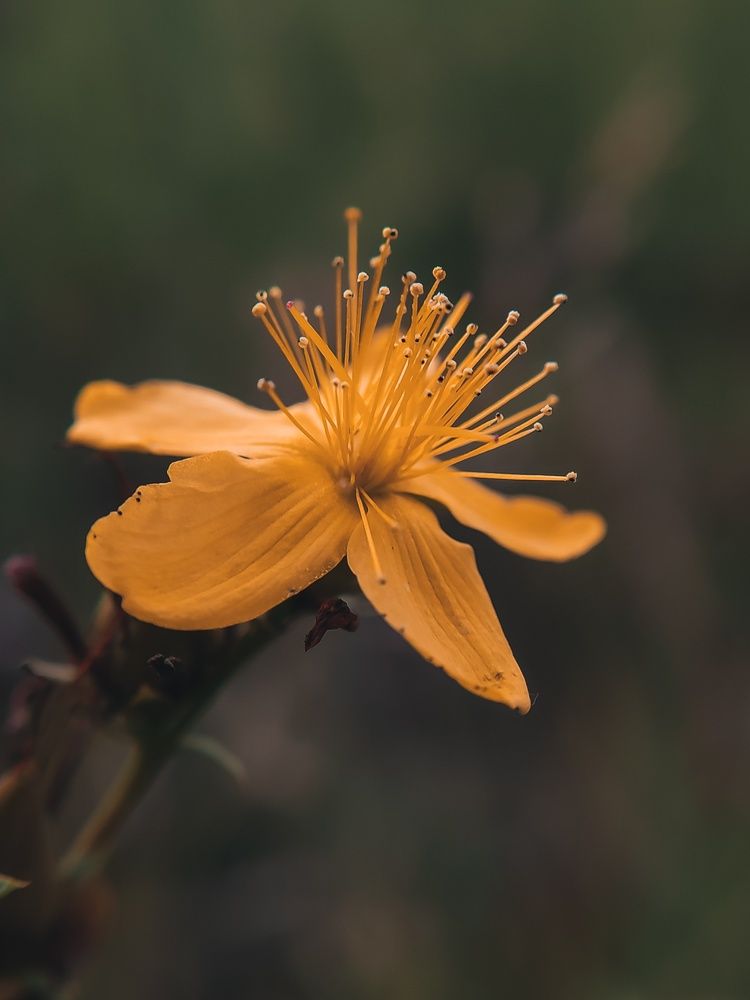 Photograph by Алия Латыйпова