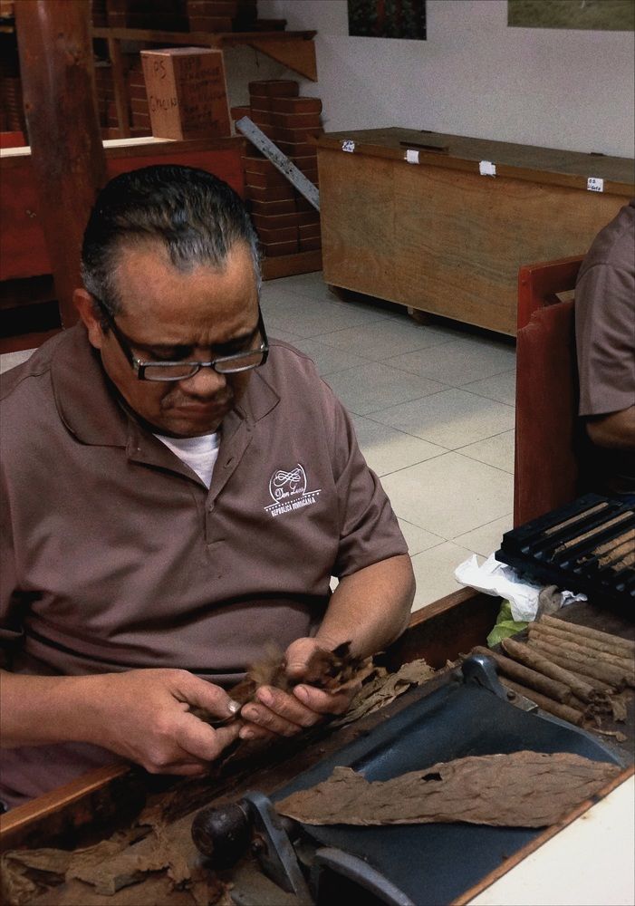 Photograph by Елена Цацулина