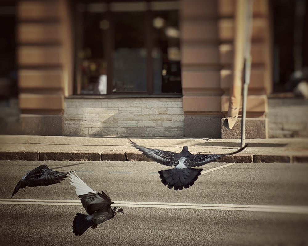 Photograph by Mariia Voloshina