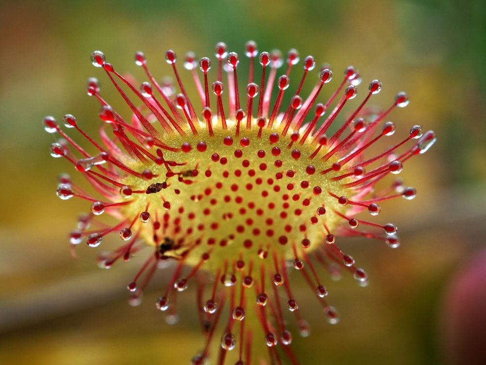 Photograph by Алексей Поляков