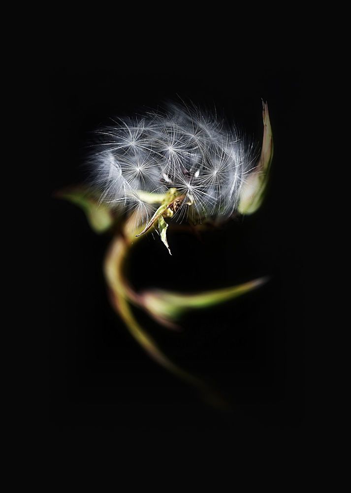 Photograph by Борис Ганцелевич
