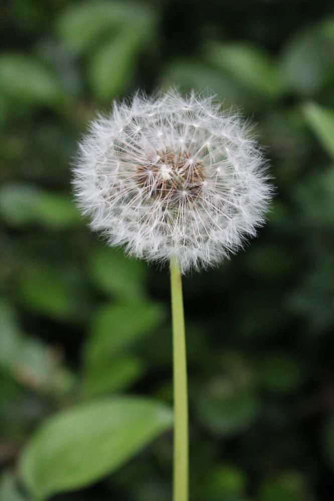 Photograph by Любовь Лунина