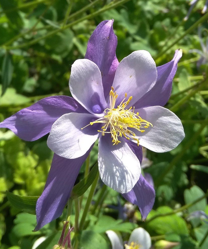 Photograph by Елена Казарина