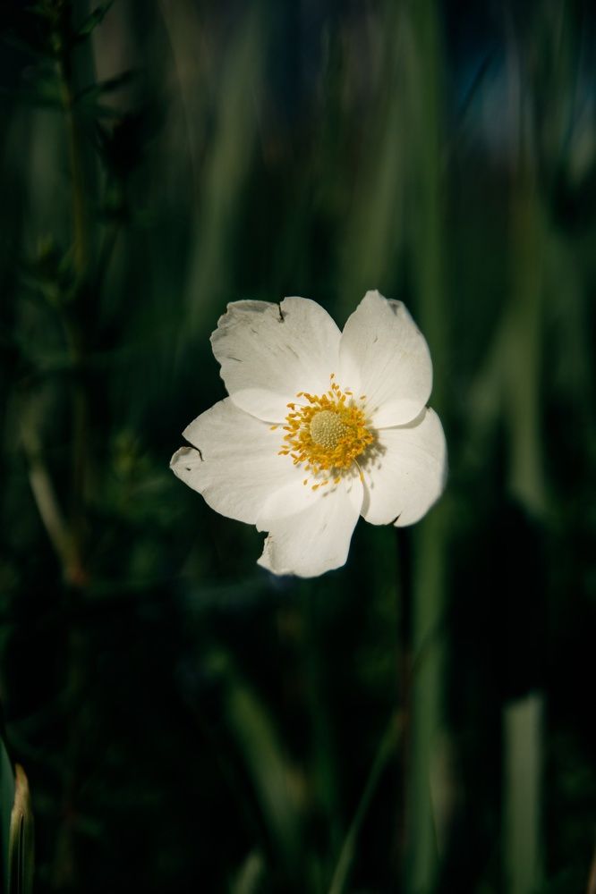 Photograph by Александр Волков