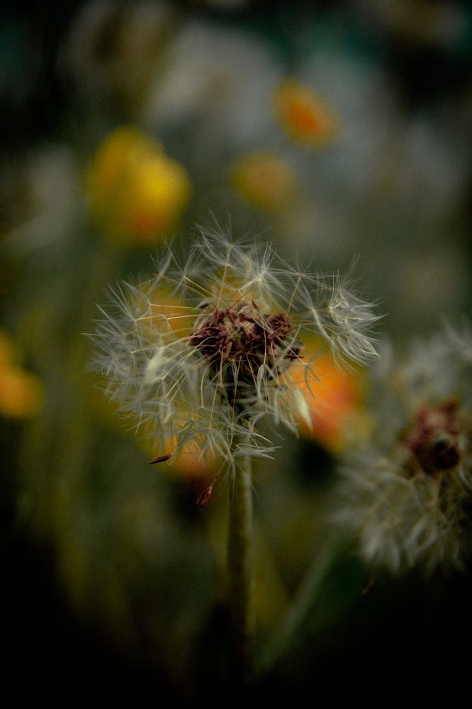 Photograph by Александр Волков