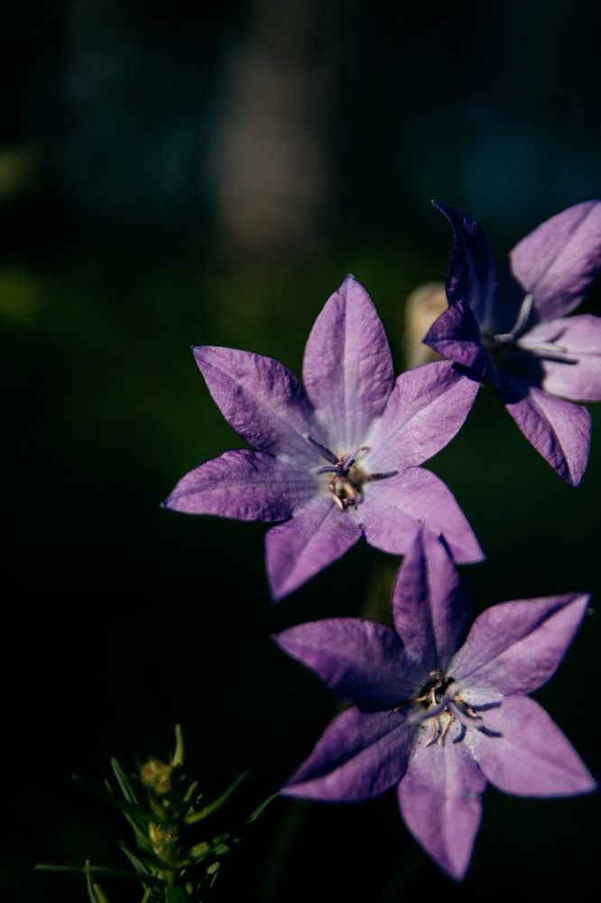 Photograph by Александр Волков