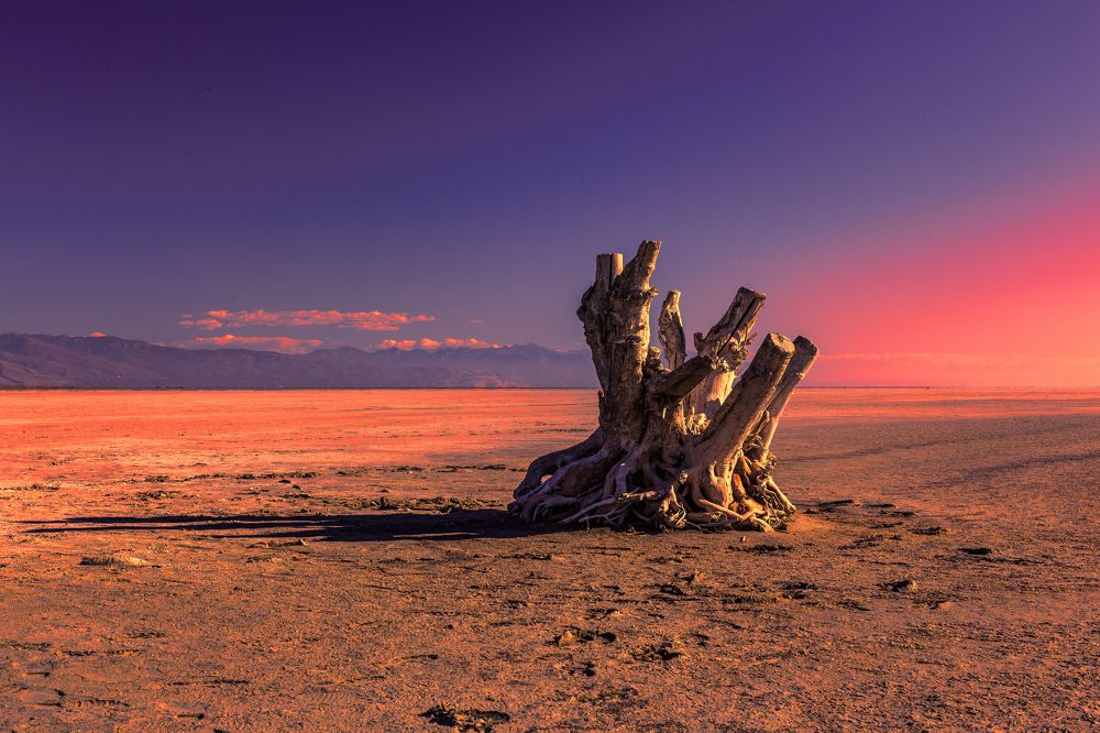 Photograph by Iosif Magomedov