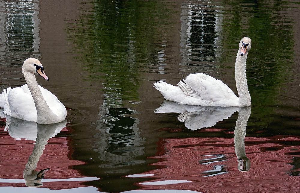 Photograph by Алексей Патлах