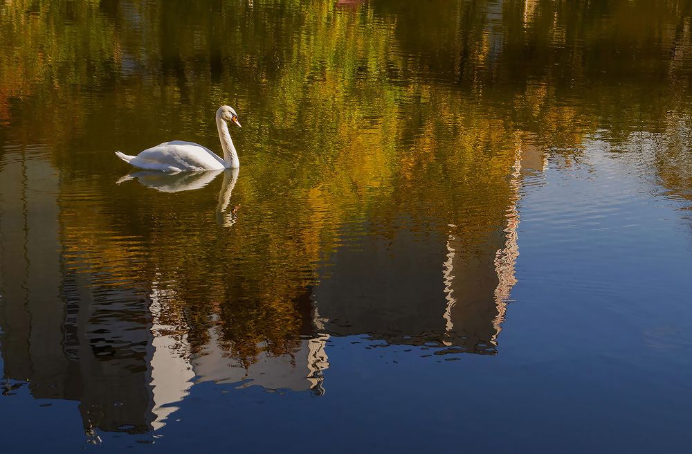 Photograph by Алексей Патлах