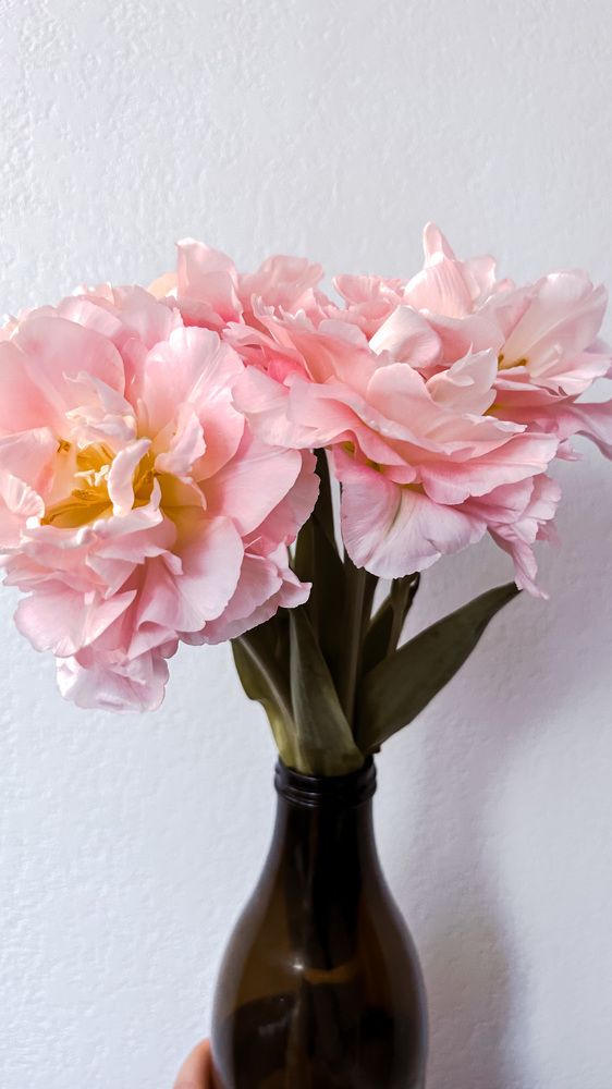 Photograph by Александра Соловьева