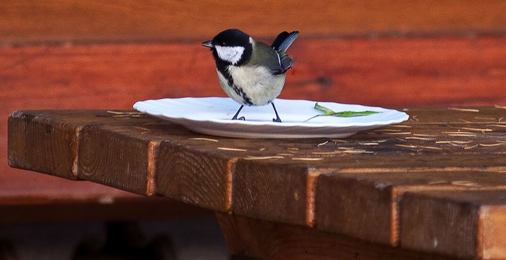 Photograph by Алексей Патлах