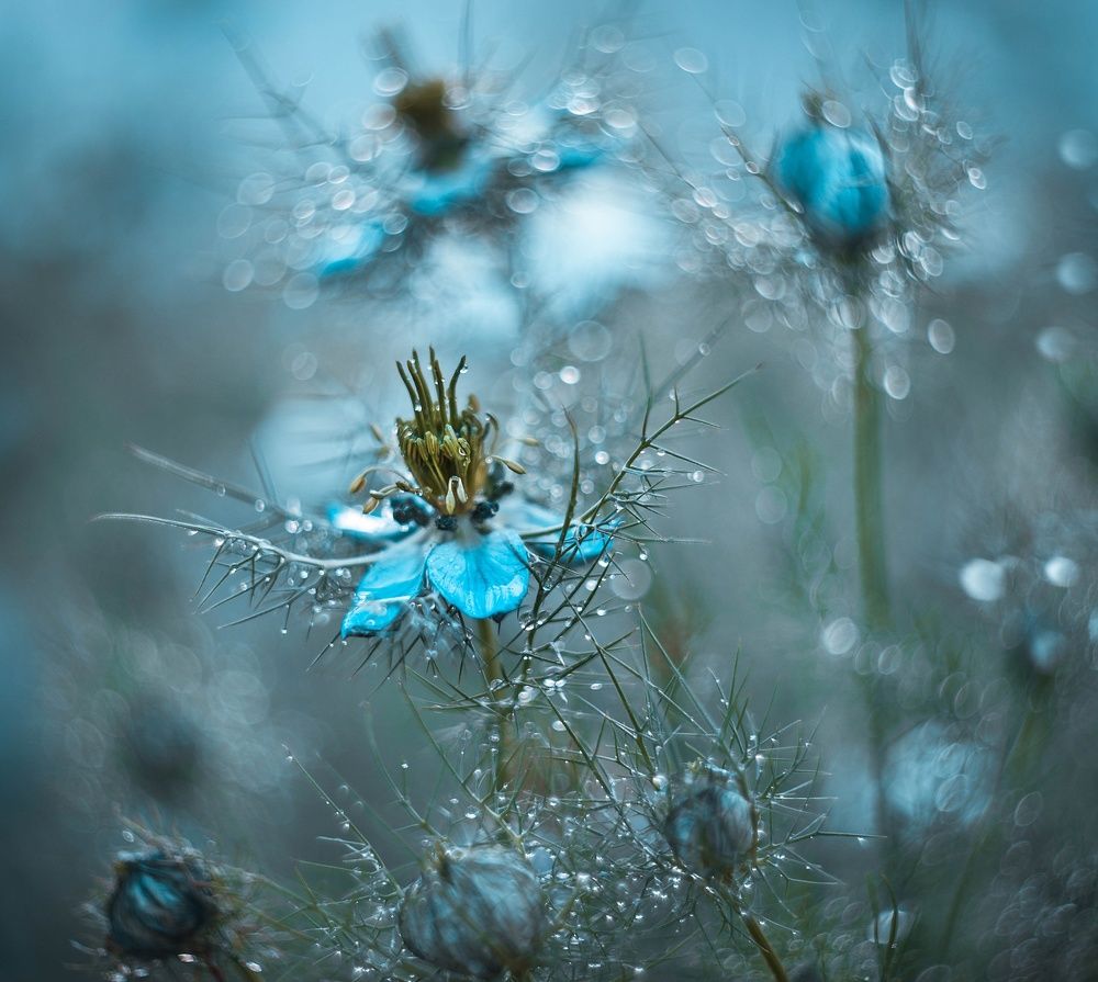 Photograph by Лапшина Владлена