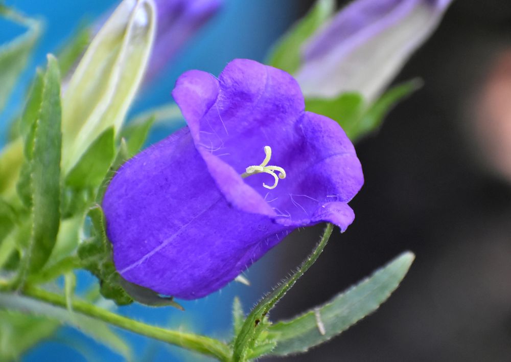 Photograph by Владимир Воложинский