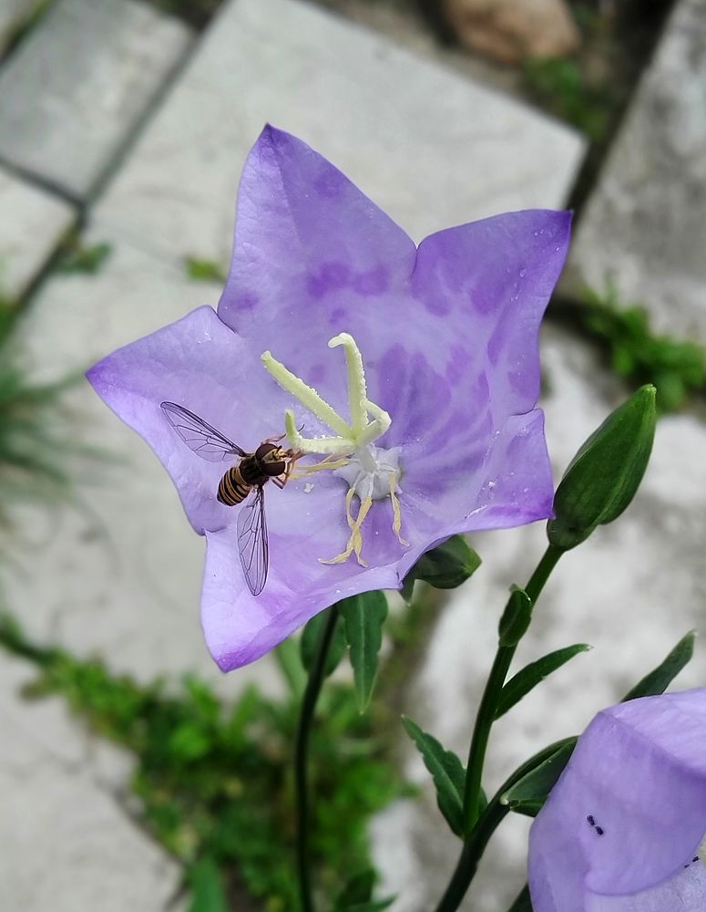 Photograph by Владимир Воложинский