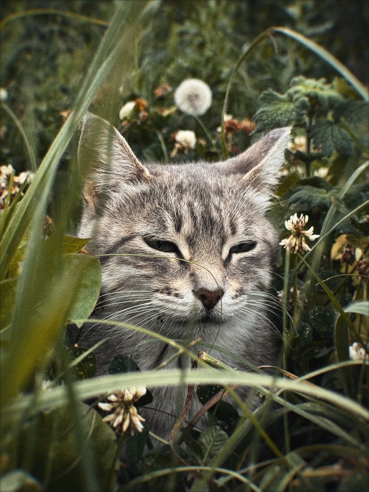 Photograph by Елена Цацулина