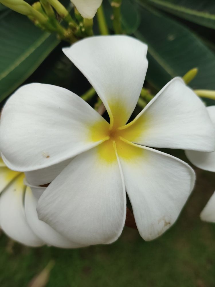 Photograph by Наталья