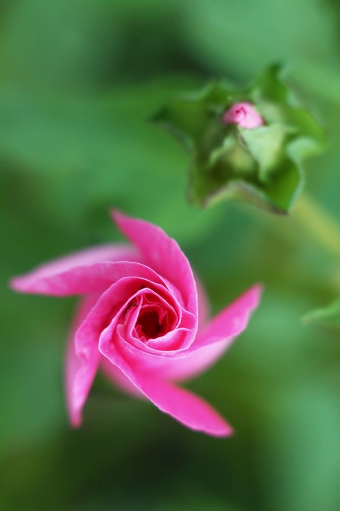 Photograph by Оксана Ботвина