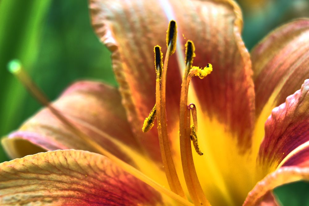 Фотография автора Наталия Мащенко